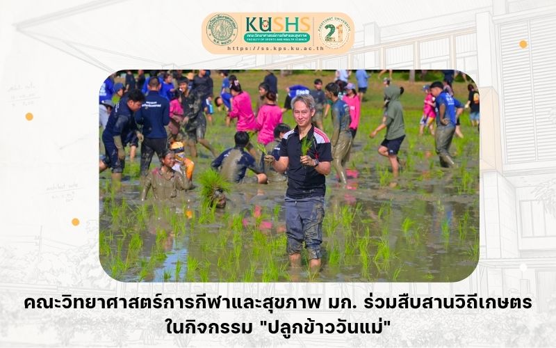 คณะวิทยาศาสตร์การกีฬาและสุขภาพ มก. ร่วมสืบสานวิถีเกษตรในกิจกรรม “ปลูกข้าววันแม่”