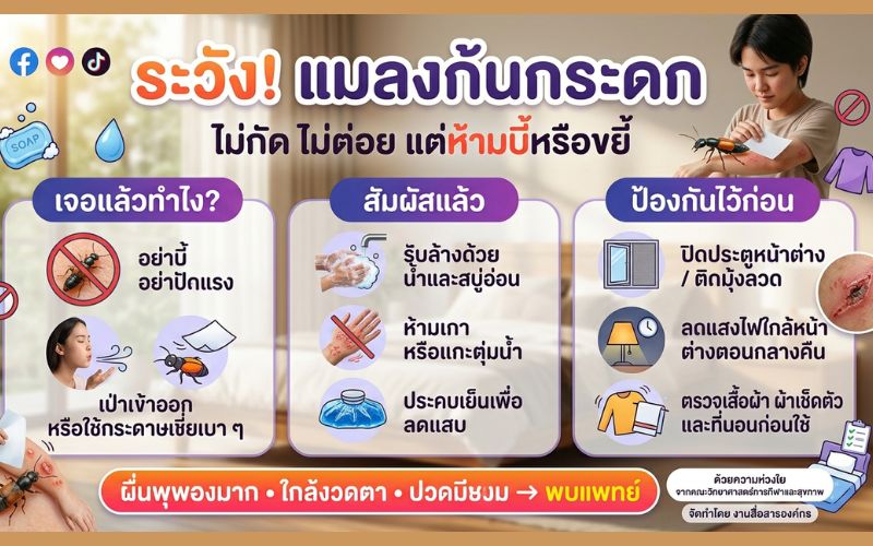 เตือนภัยหน้าฝน! “แมลงก้นกระดก” ตัวเล็กแต่พิษไม่เล็ก อย่าบี้ เสี่ยงผื่นพุพอง